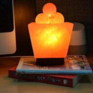 Himalayan Glow Bowl Pink Salt Table Lamp with Salt Chunks